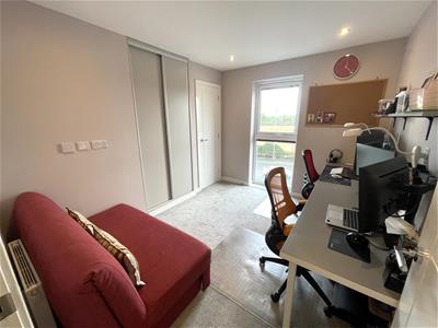 Picture 11